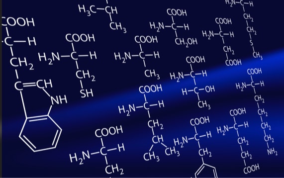 Wie wirken essentielle Aminosäuren auf den Menschen? Was ist die Funktion jeder Aminosäure