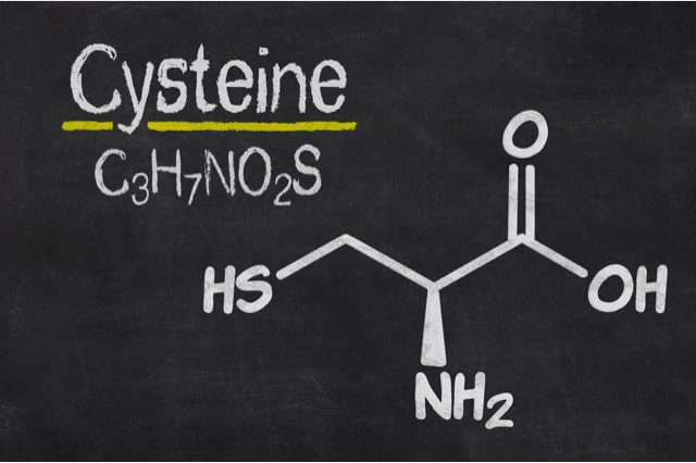 Cystein als wichtige schwefelhaltige Aminosäure Schwefelhaltige Aminosäuren chemische Struktur
