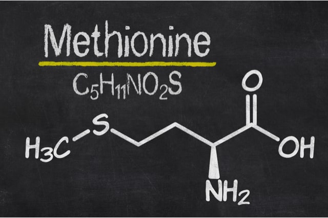 Schwefelhaltige Aminosäuren chemische Struktur Methionin gehört zu den schwefelhaltigen Aminosäuren