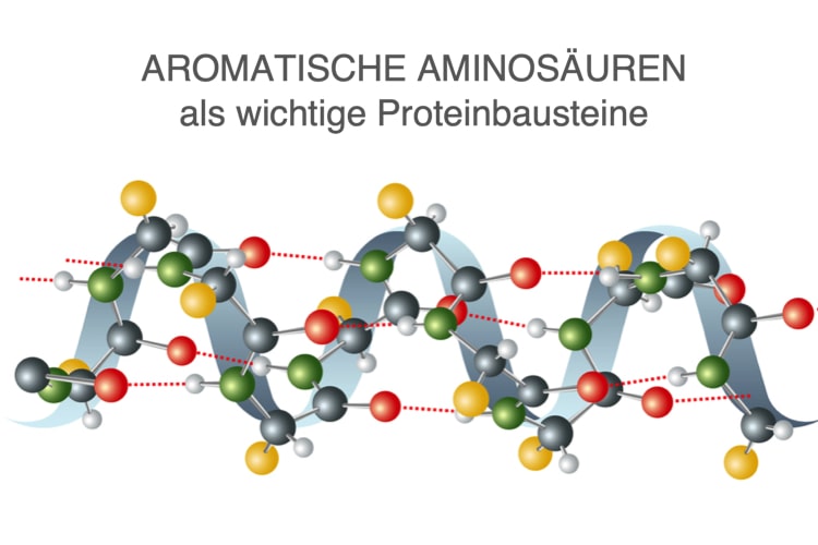 Infos zu aromatischen Aminosäuren