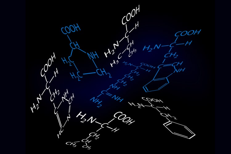 Aminosäuren, die proteinogen sind